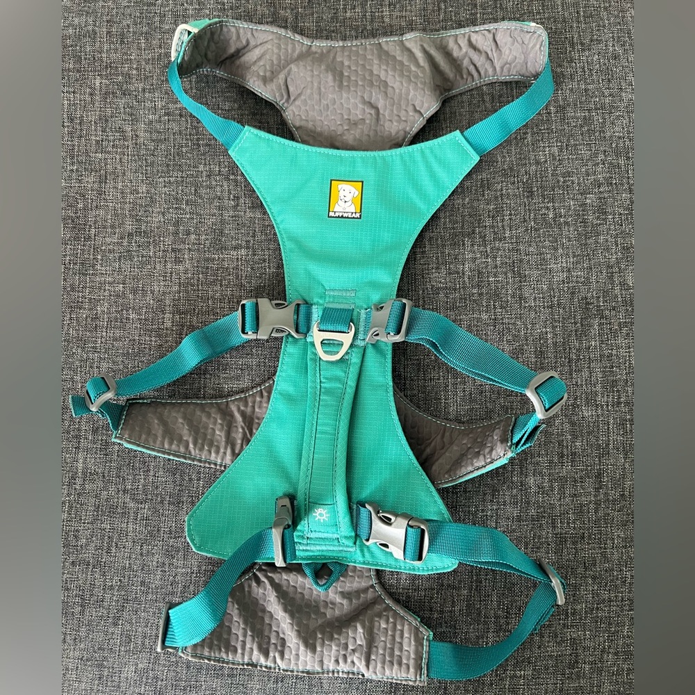 Ruffwear Meltwater Teal Flagline